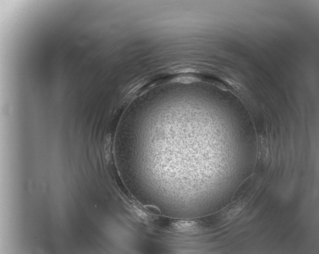 X0000058120189200509301936