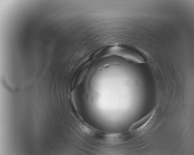 X0000058120192200509301936