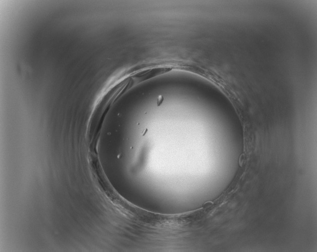 X0000058120198200509301935