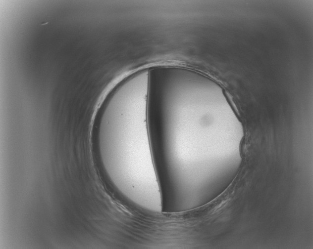 X0000058120200200509301935