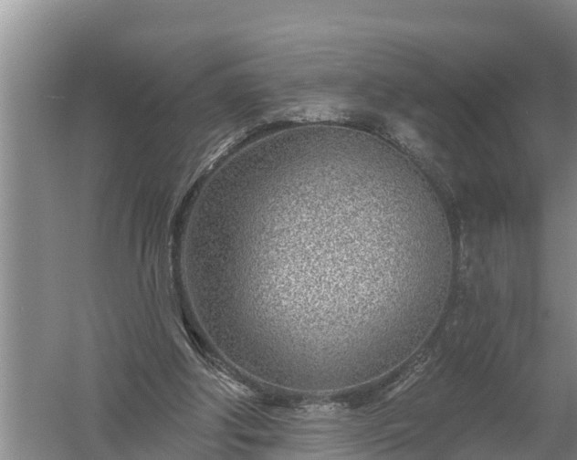 X0000058120202200509301935