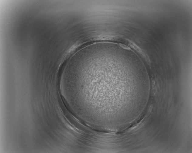 X0000058120203200509301935