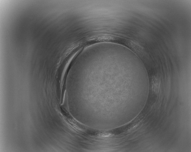 X0000058120206200509301935