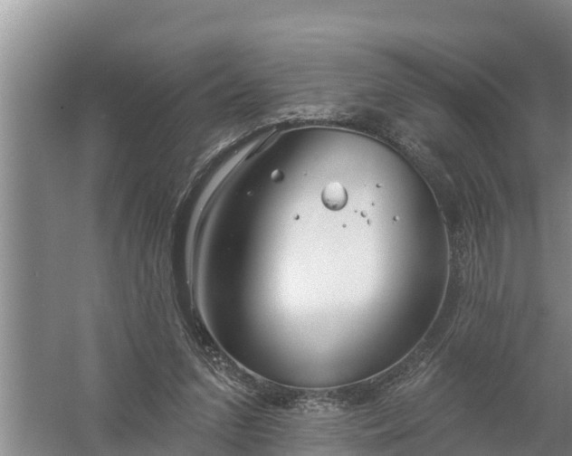 X0000058120207200509301935