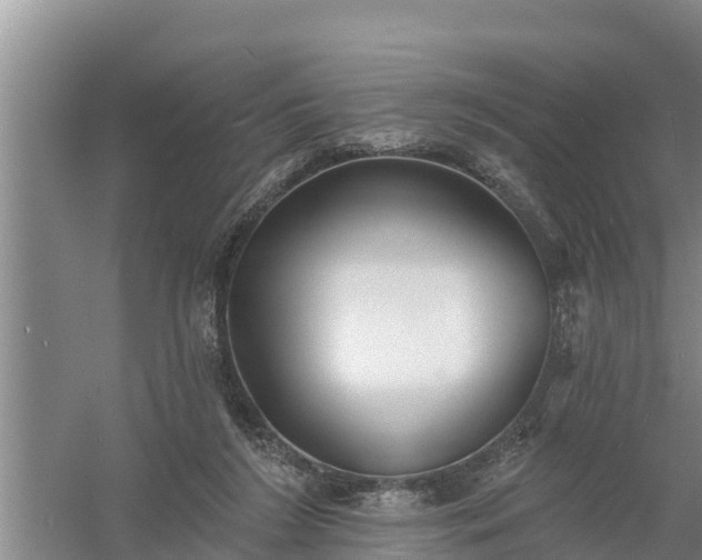 X0000058120212200509301935