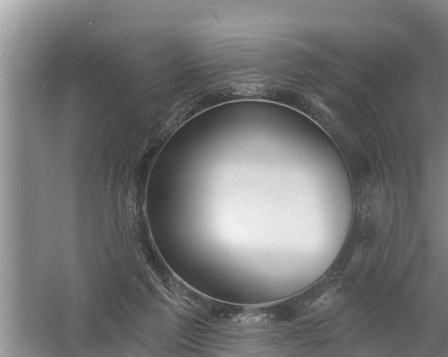 X0000058120213200509301935