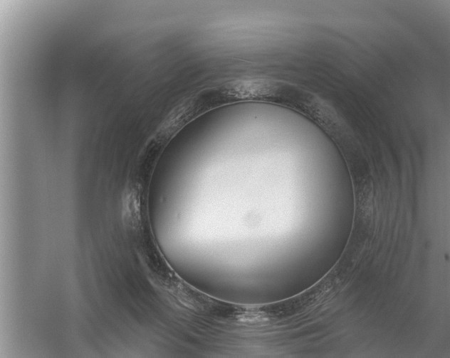 X0000058120214200509301935