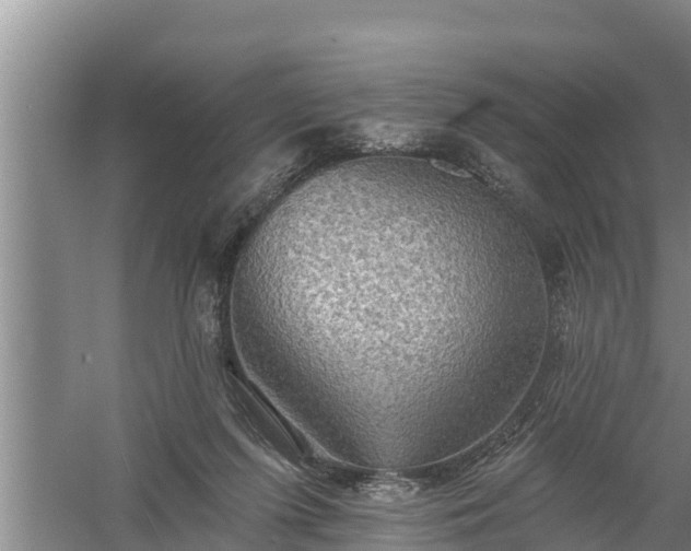 X0000058120215200509301935