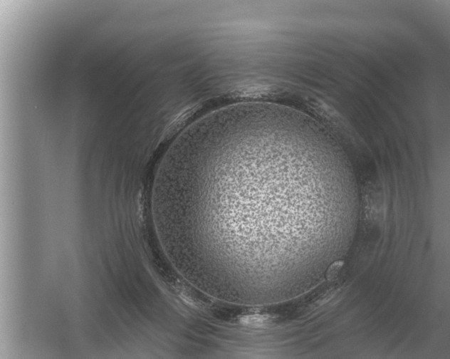 X0000058120216200509301935