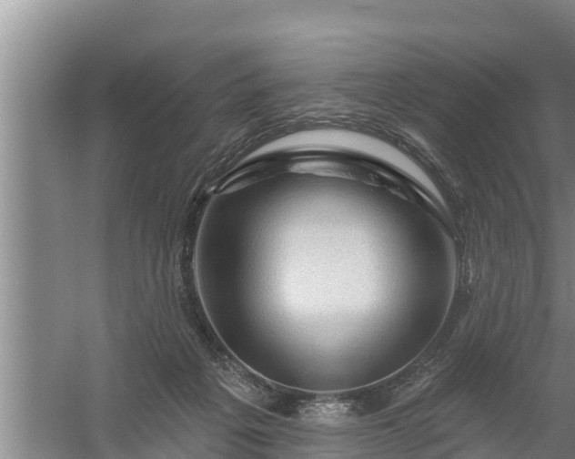 X0000058120217200509301935