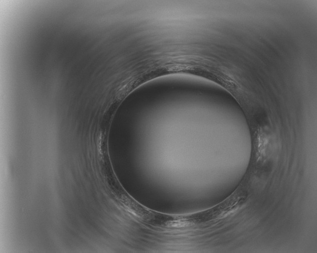 X0000058120219200509301935