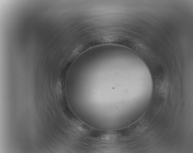 X0000058120220200509301935