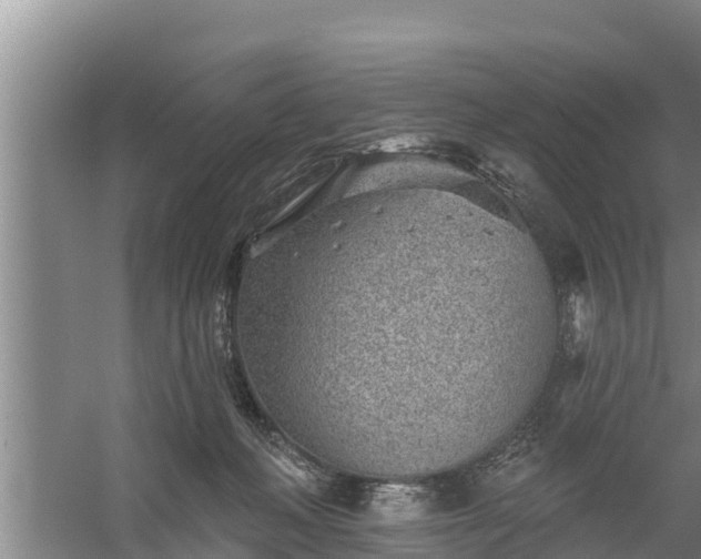 X0000058120222200509301935