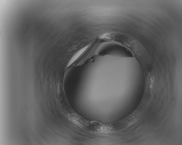 X0000058120223200509301935