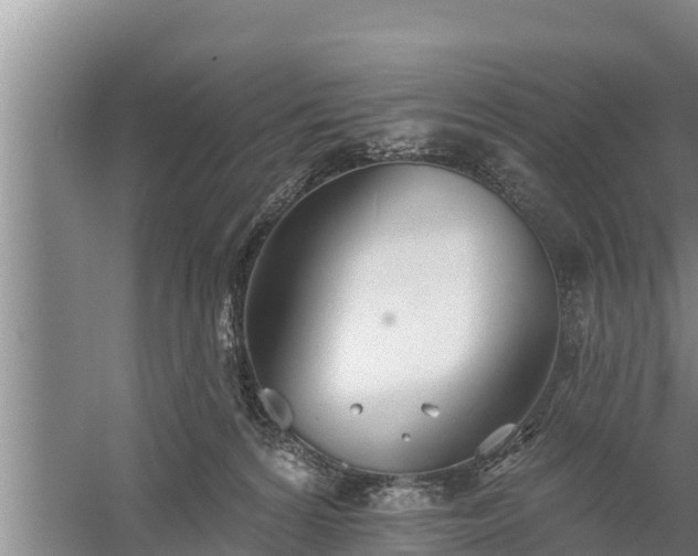 X0000058120224200509301935