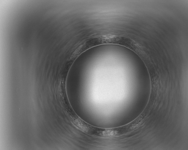 X0000058120225200509301935