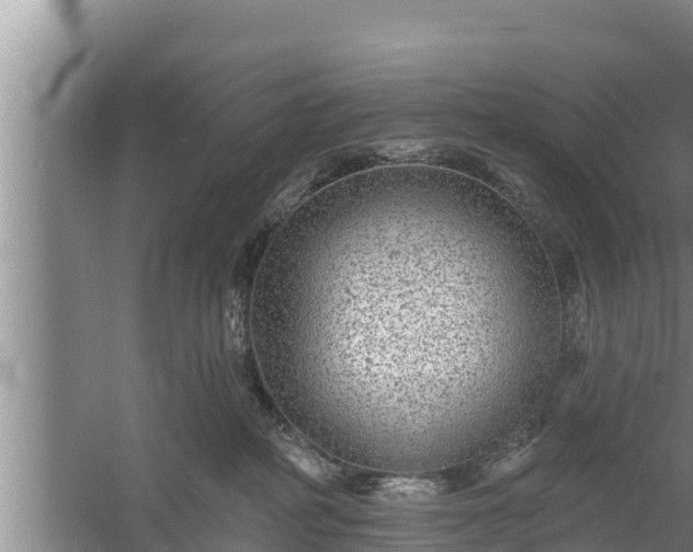 X0000058120234200509301935