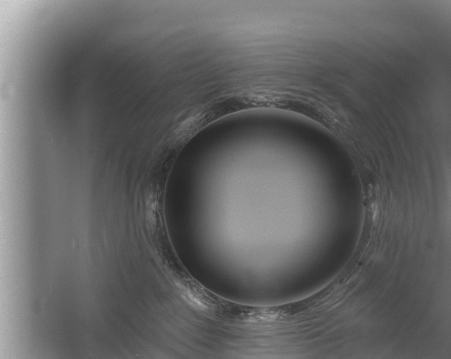 X0000058120235200509301935