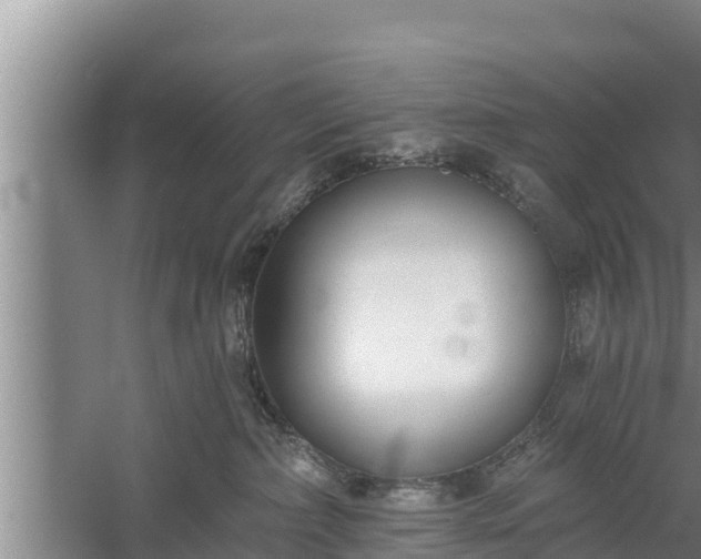 X0000058120236200509301935