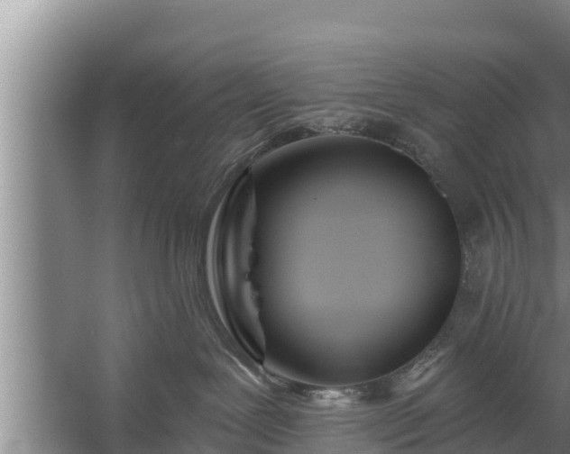 X0000058120239200509301935