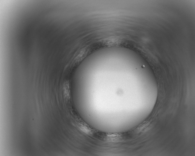 X0000058120240200509301935