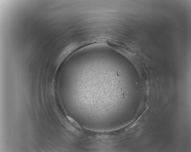 X0000058120242200509301934