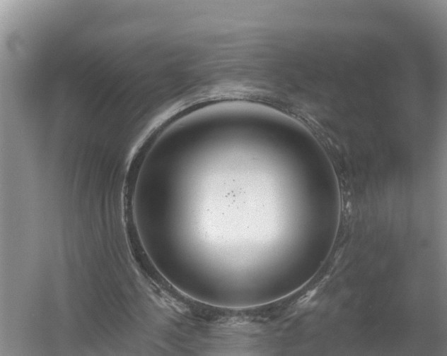 X0000058120244200509301934