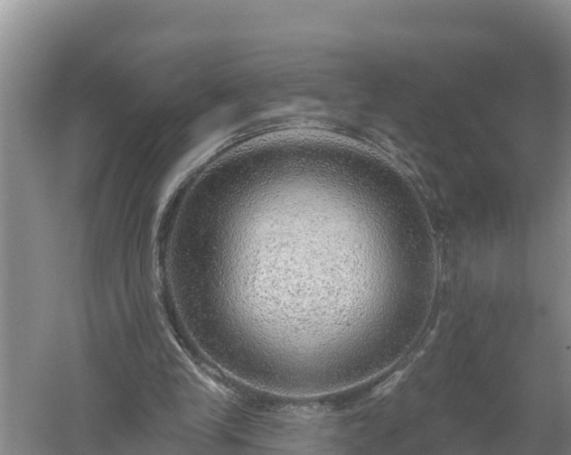 X0000058120245200509301934