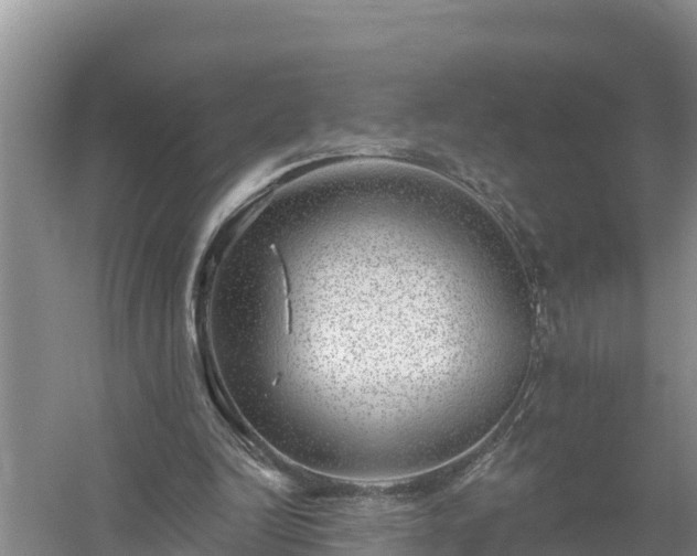 X0000058120246200509301934