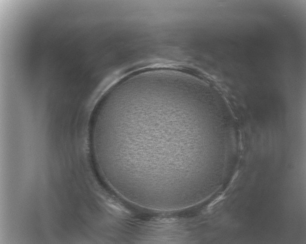 X0000058120247200509301934