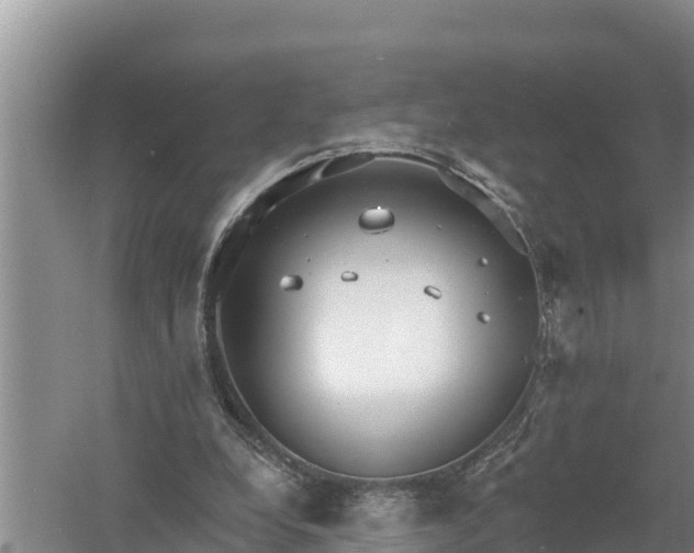 X0000058120248200509301934