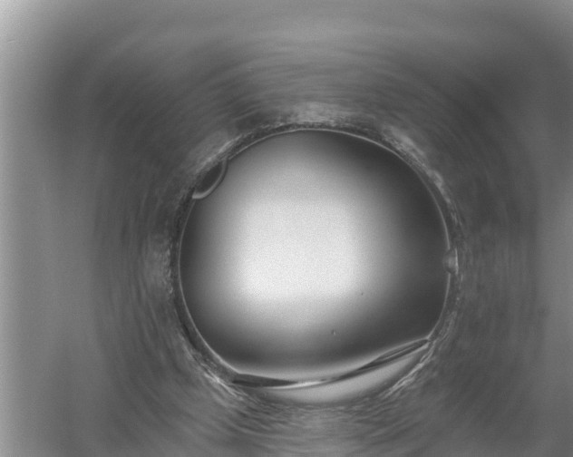 X0000058120249200509301934