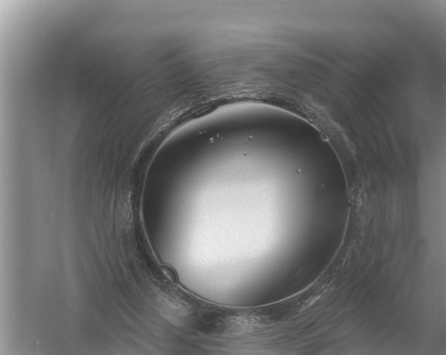 X0000058120250200509301934