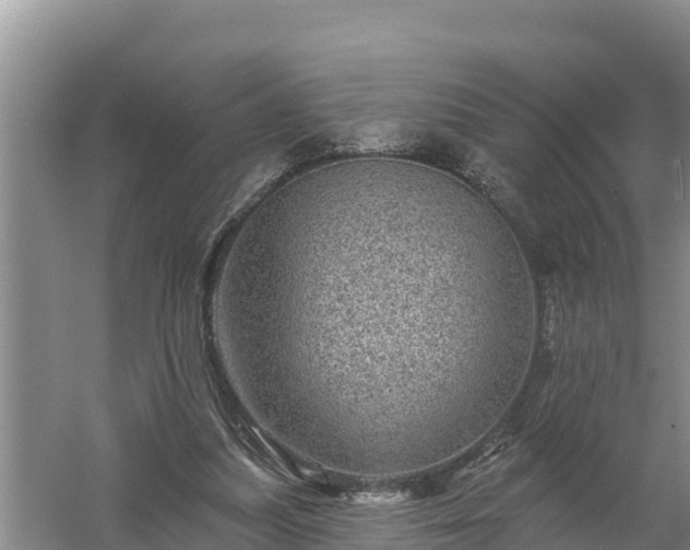 X0000058120251200509301934