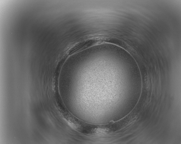 X0000058120255200509301934