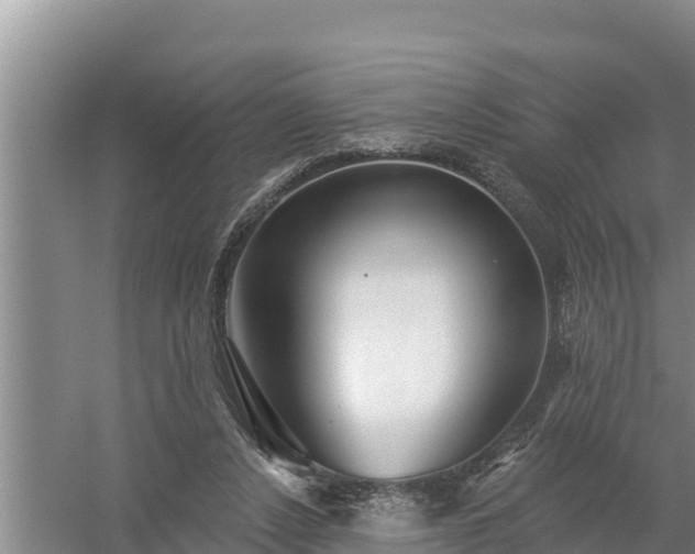 X0000058120256200509301934