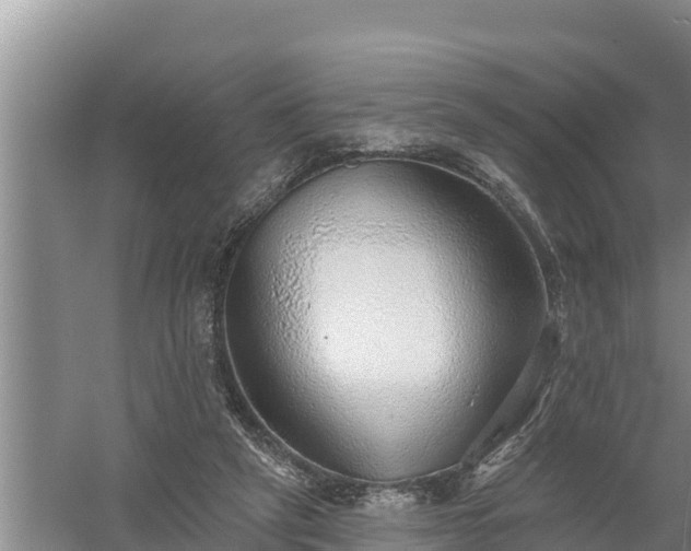 X0000058120257200509301934