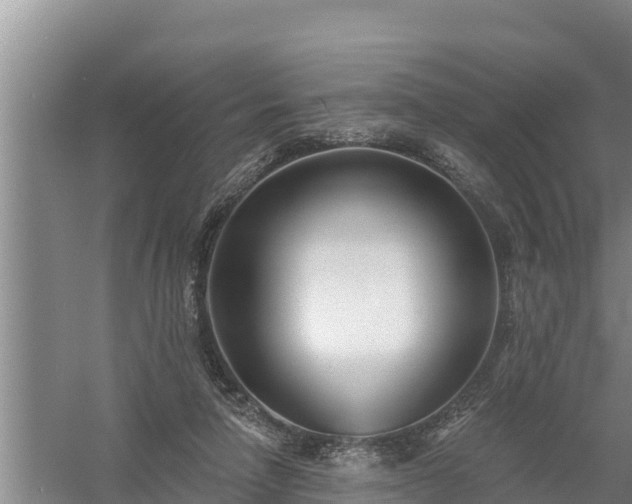 X0000058120258200509301934