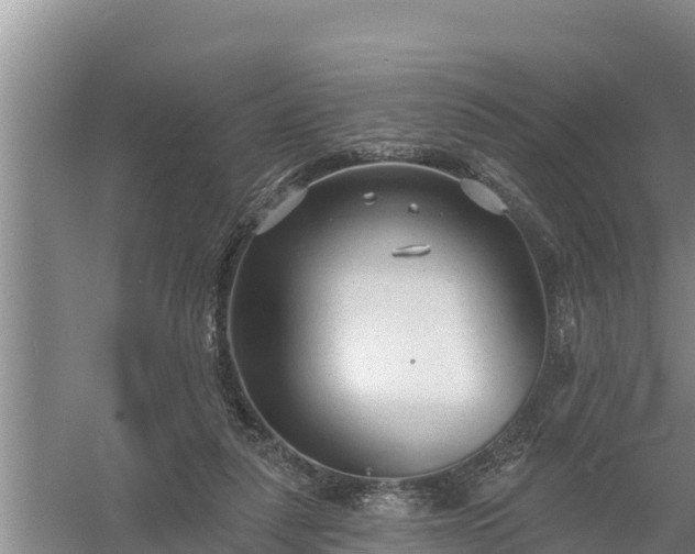 X0000058120259200509301934