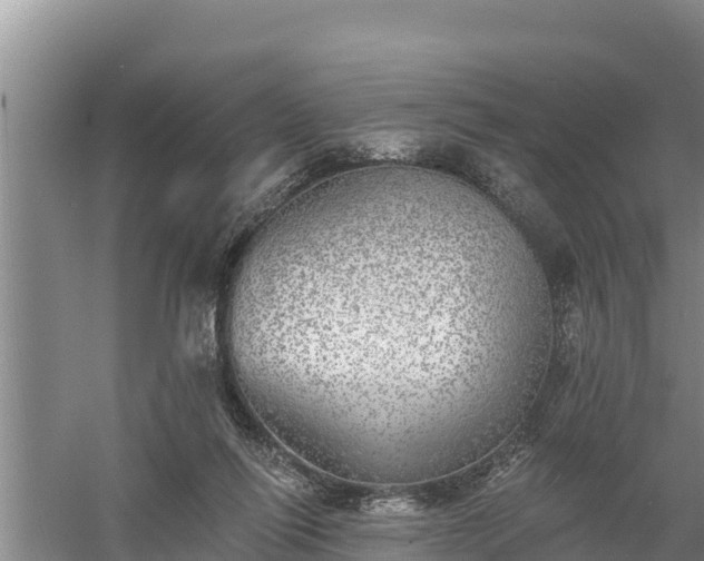 X0000058120262200509301934