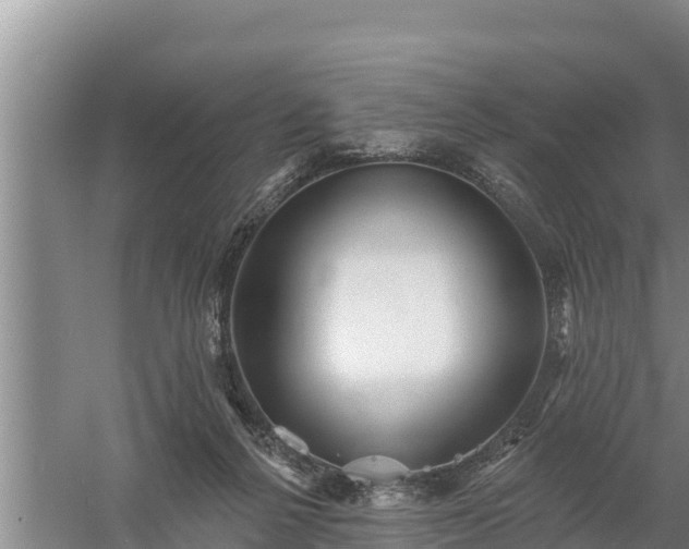 X0000058120264200509301934