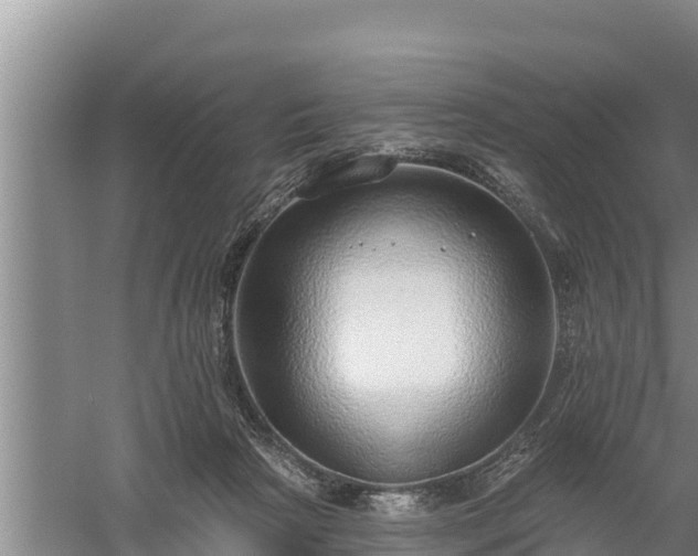 X0000058120265200509301934