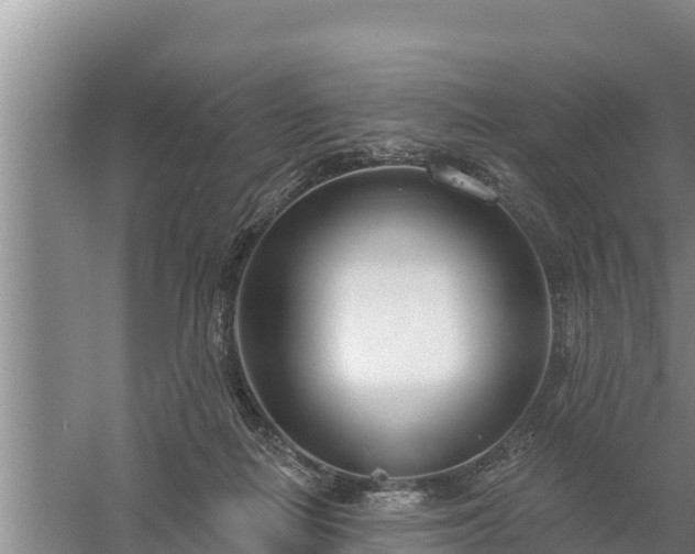 X0000058120266200509301934