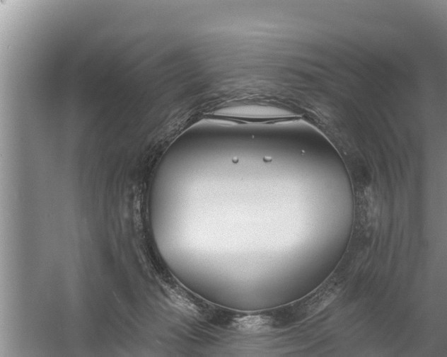 X0000058120269200509301934