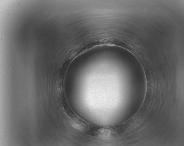 X0000058120272200509301934