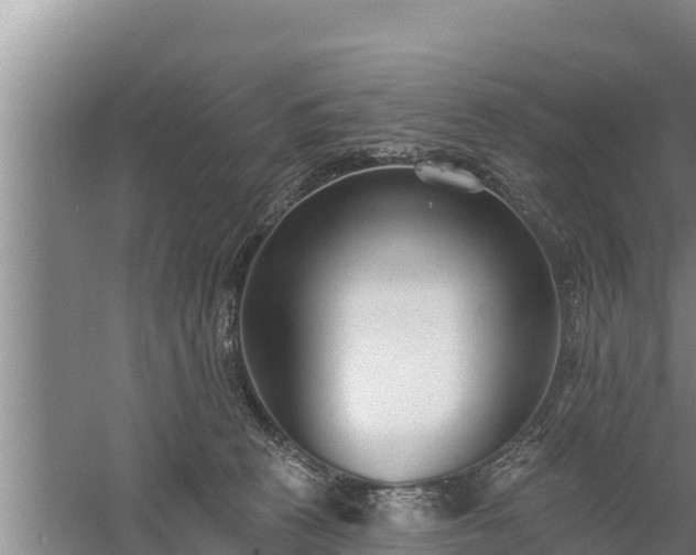 X0000058120273200509301934