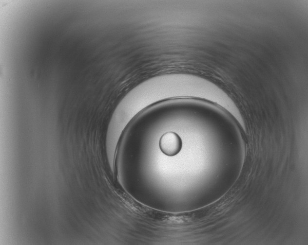 X0000058120277200509301934