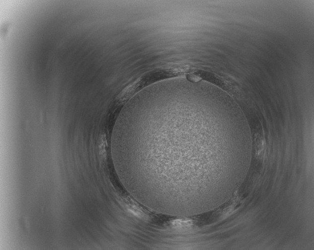 X0000058120279200509301934