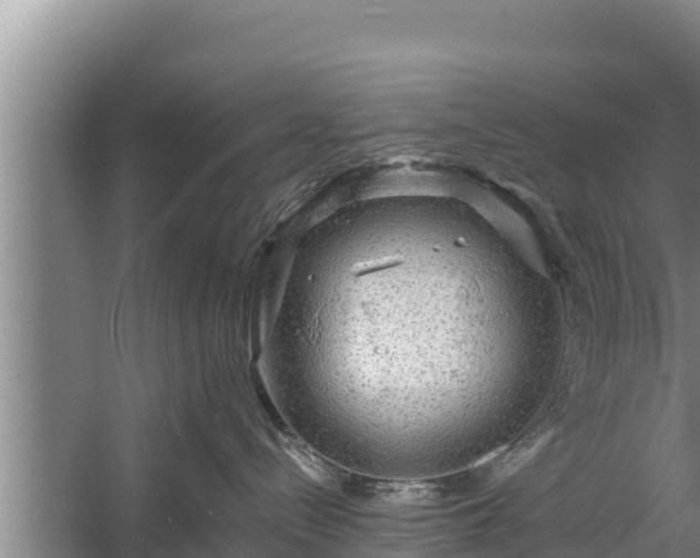 X0000058120288200509301935