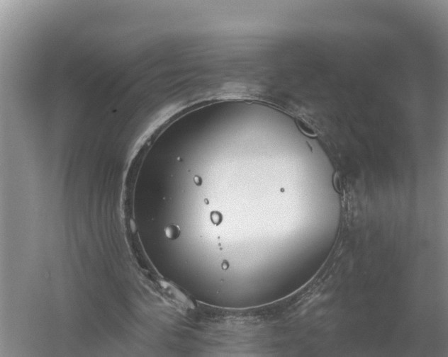 X0000058120292200509301934